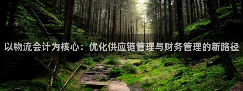 ,优游国际是南宫旗下的吗：以物流会计