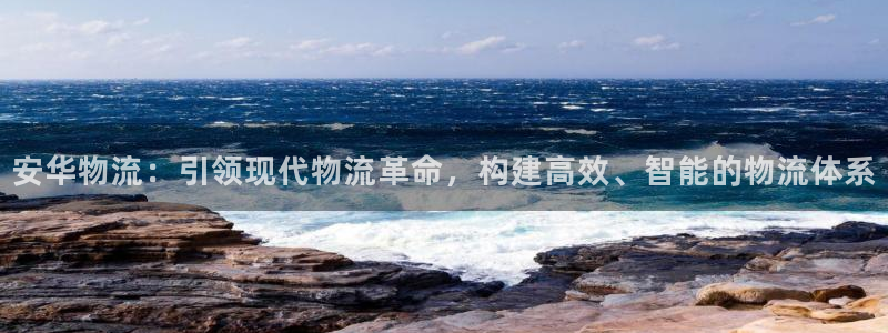 ,优游国际反水怎么算：安华物流：引领