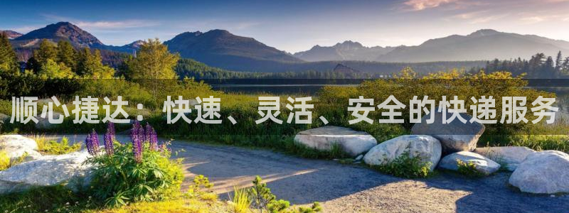 ,优游国际怎么下载：顺心捷达：快速、灵活、安全的快递服务