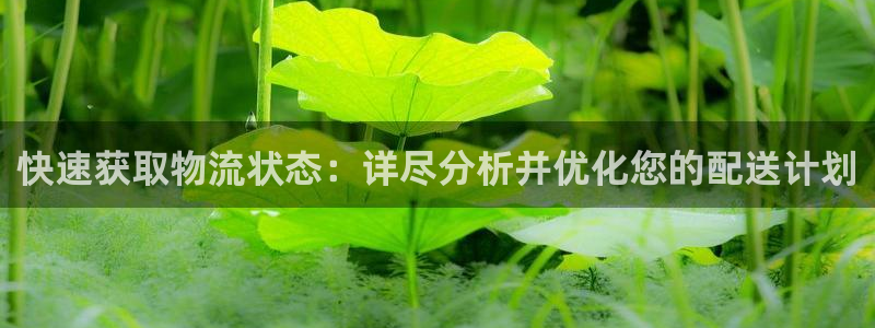 ,优游国际怎么申请代理