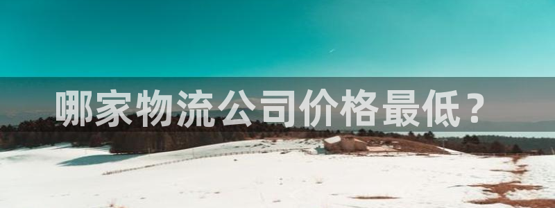 ,优游国际充值不处理：哪家物流公司价
