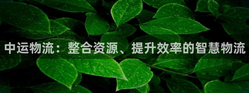 ,优游国际模拟器在线玩：中运物流：整