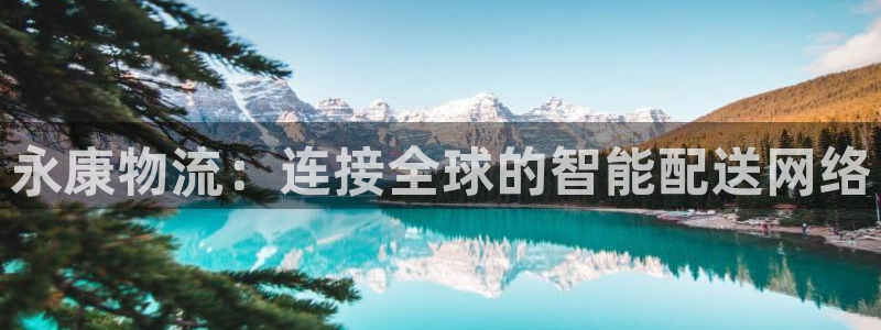 优游国际官网下载链接是什么：永康物流