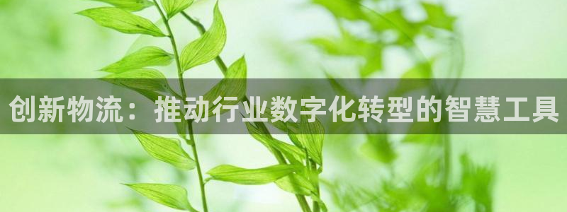 ,优游国际app注册地址：创新物流：