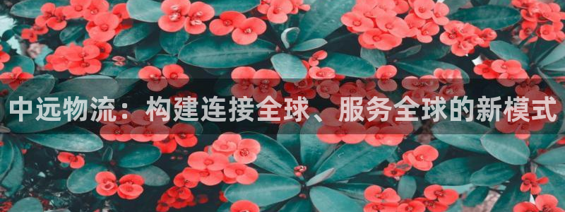 ,优游国际p扣款什么意思：中远物流：