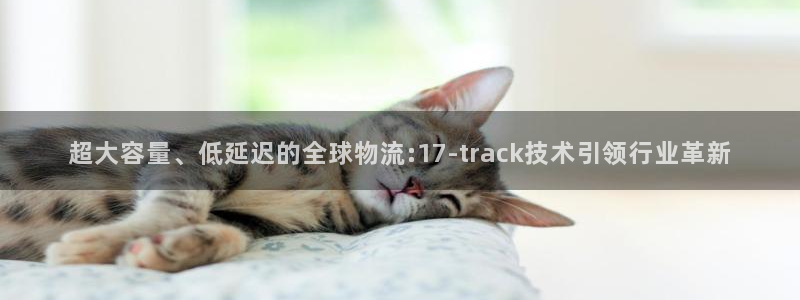 ,优游国际官方平台：超大容量、低延迟