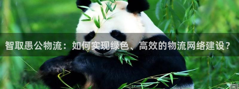,优游国际那个才是充值账号：智取愚公物流：如何实现绿色、高效
