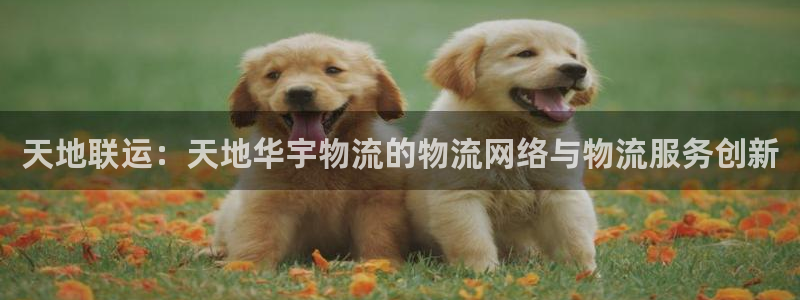 ,优游国际app怎么注册账号：天地联