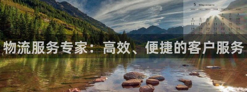 ,优游国际是啥：物流服务专家：高效、