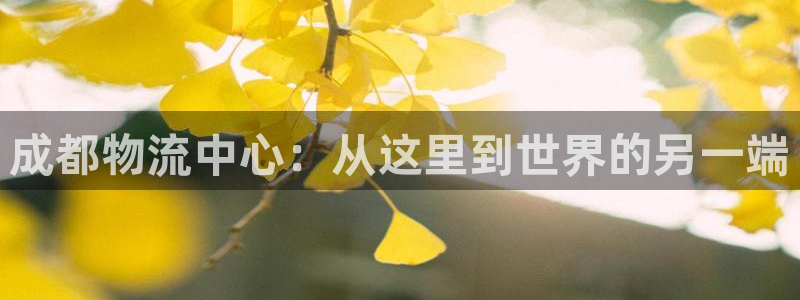 优游国际官网入口：成都物流中心：从这