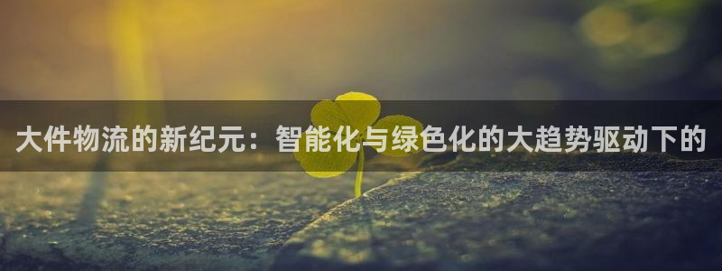 ,优游国际怎么注册游戏名字：大件物流