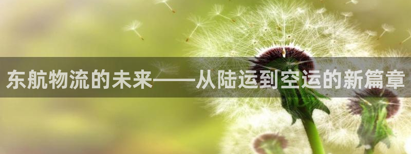 ,优游国际退款教程：东航物流的未来—
