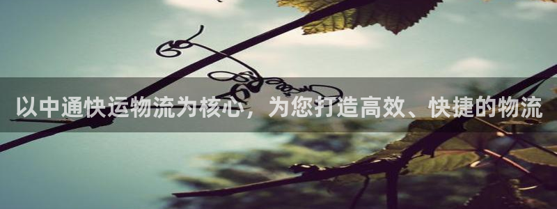 ,优游国际APP是干什么的：以中通快