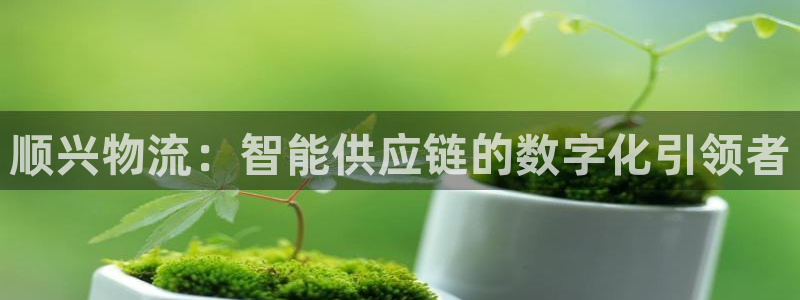,优游国际免费：顺兴物流：智能供应链