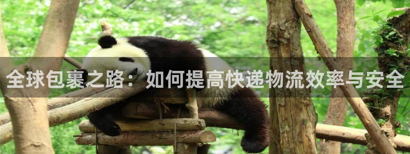 ,优游国际下载二维码怎么弄：全球包裹