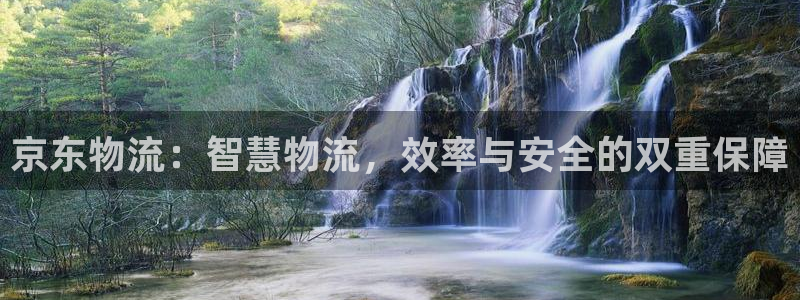 ,优游国际模拟器在线使用：京东物流：