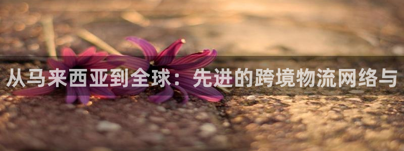 ,优游国际v6能卖多少：从马来西亚到