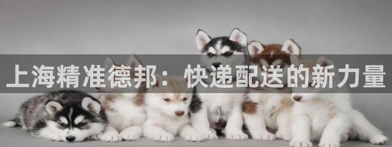 ,优游国际娱乐官网网页入口