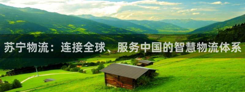 ,优游国际官网预测：苏宁物流：连接全