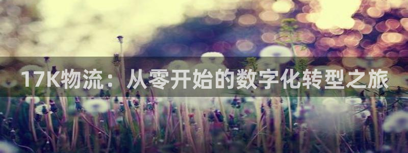 ,优游国际app怎么注册账号：17K