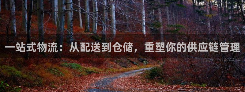 ,优游国际加拿大怎么玩：一站式物流：