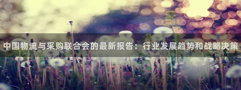 ,优游国际加拿大:中国物流与采购联合