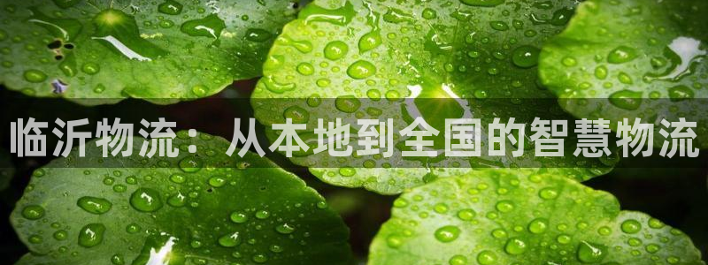,优游国际注册网页：临沂物流：从本地
