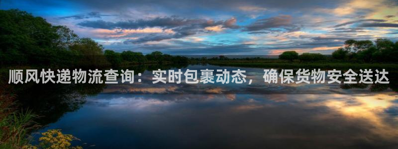 优游国际官方网站预测：顺风快递物流查