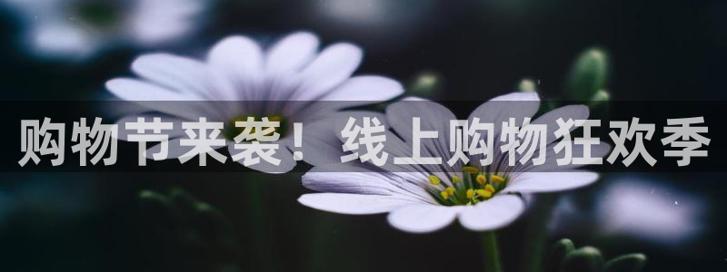蜘蛛体育直播小狐狸：购物节来袭！线上购物狂欢季