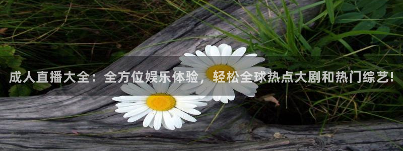 蜘蛛体育直播免费高清在线观看：成人直播大全：全方位娱乐体验，轻松全球热点大剧和热门综艺!