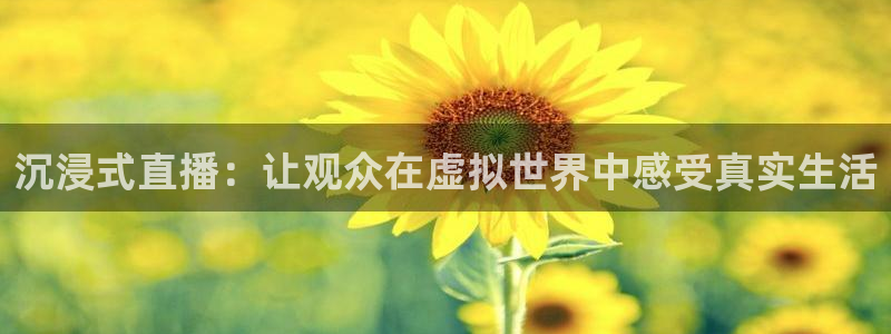 nba在线直播免费观看直播蜘蛛直播：沉浸式直播：让观众在虚拟世界中感受真实生活