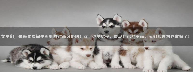 蜘蛛直播体育免费直播：女生们，快来试衣间体验新的时尚风格吧！穿上你的裙子，展现自己的美丽，我们都在为你准备了！