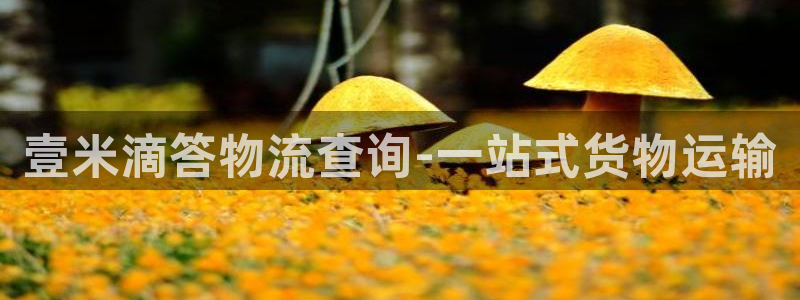 ,优游国际注册流程：壹米滴答物流查询