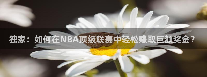 蜘蛛直播nba免费观看：独家：如何在NBA顶级联赛中轻松赚取巨额奖金？