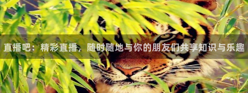 美女直播nba直播蜘蛛侠：直播吧：精彩直播，随时随地与你的朋友们共享知识与乐趣
