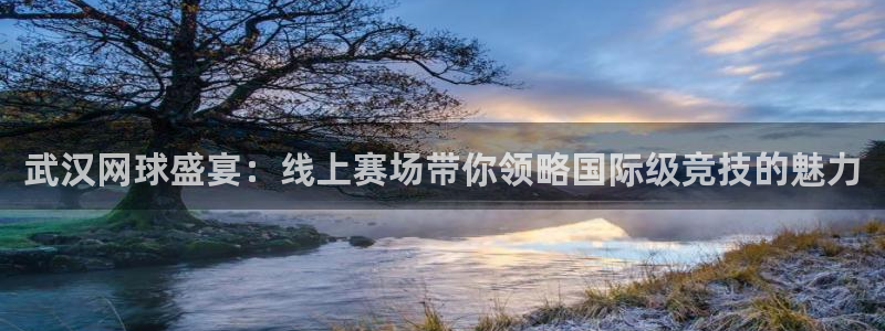 蜘蛛体育小狐狸：武汉网球盛宴：线上赛场带你领略国际级竞技的魅力