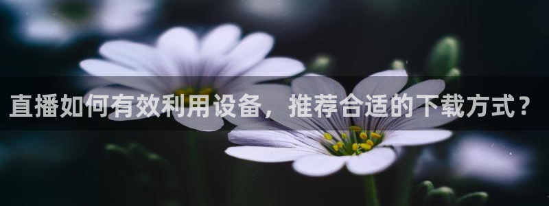 蜘蛛体育小狐狸：直播如何有效利用设备，推荐合适的下载方式？