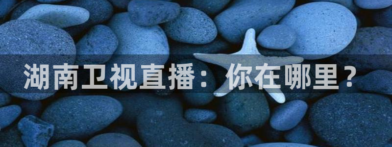 蜘蛛直播体育免费：湖南卫视直播：你在哪里？